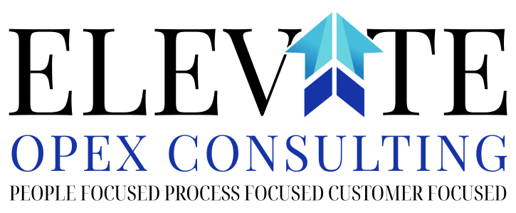 Elevate OPEX Consulting